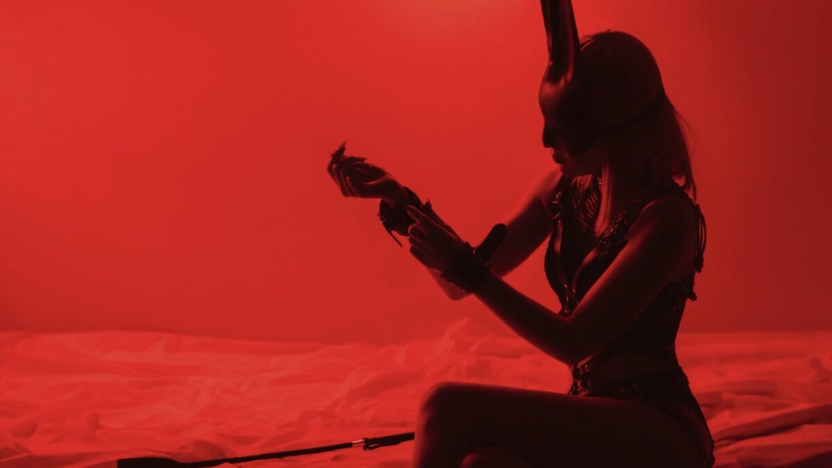 Petplay