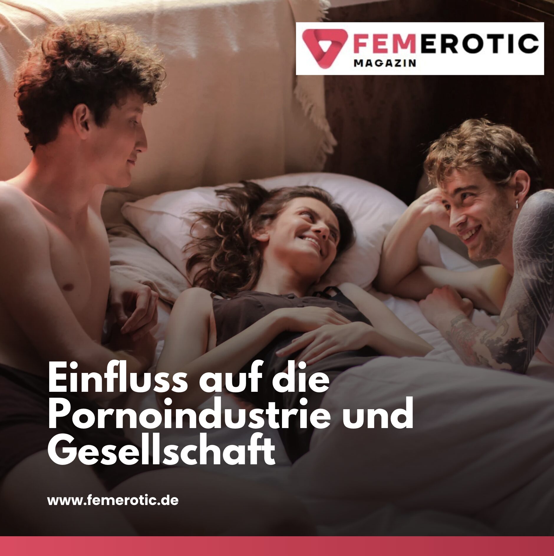Einfluss auf die Pornoindustrie und Gesellschaft