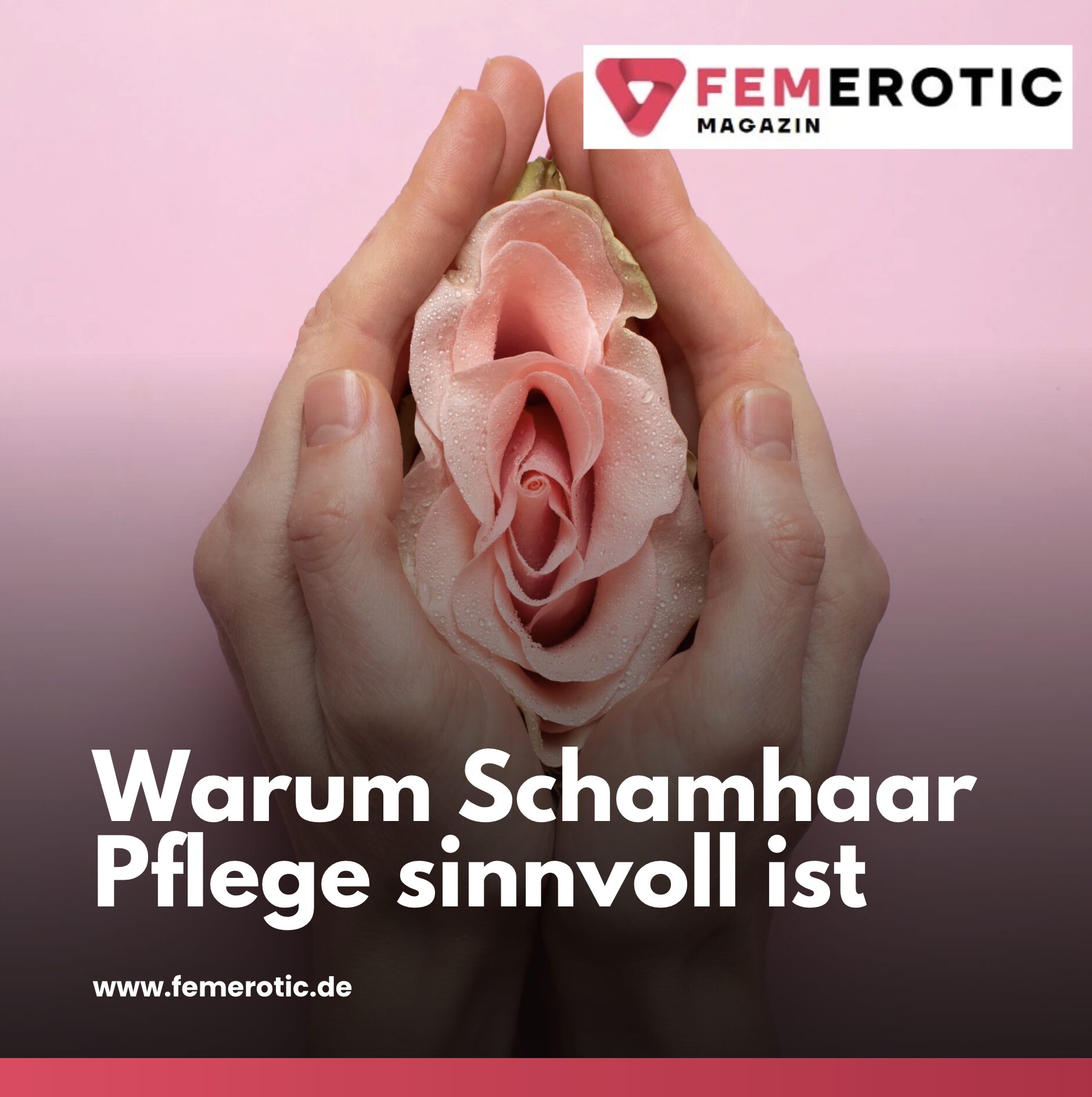 Warum Schamhaar Pflege sinnvoll ist Warum Schamhaar Pflege sinnvoll ist