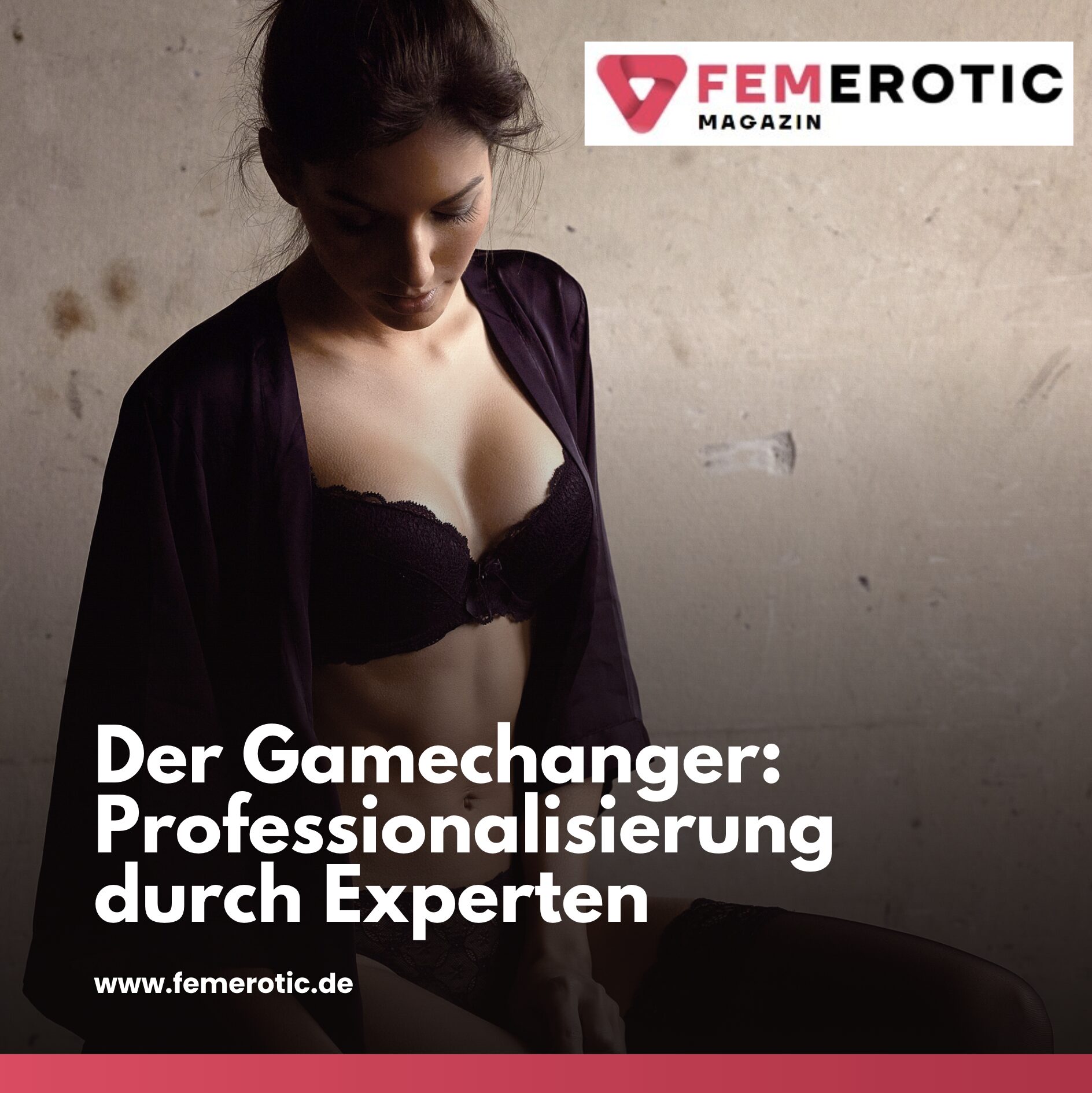 Der Gamechanger: Professionalisierung durch Experten Der Gamechanger: Professionalisierung durch Experten