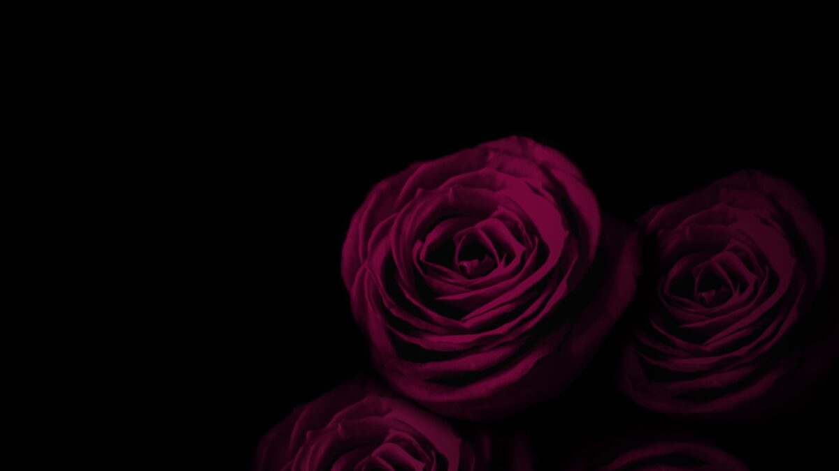 Was sind Dark Romance Bücher Toxischer Genre als kontroverse Trend