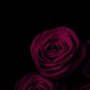 Was sind Dark Romance Bücher Toxischer Genre als kontroverse Trend