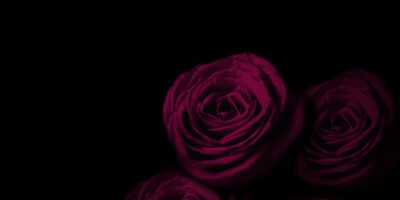 Was sind Dark Romance Bücher Toxischer Genre als kontroverse Trend