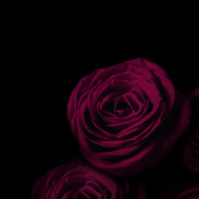 Was sind Dark Romance Bücher Toxischer Genre als kontroverse Trend